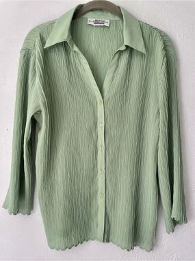 Y2K Semi-sheer Crinkle Button Up Blouse